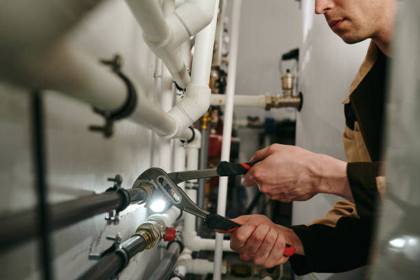 Best Local Plumber Services  in Reading, MI